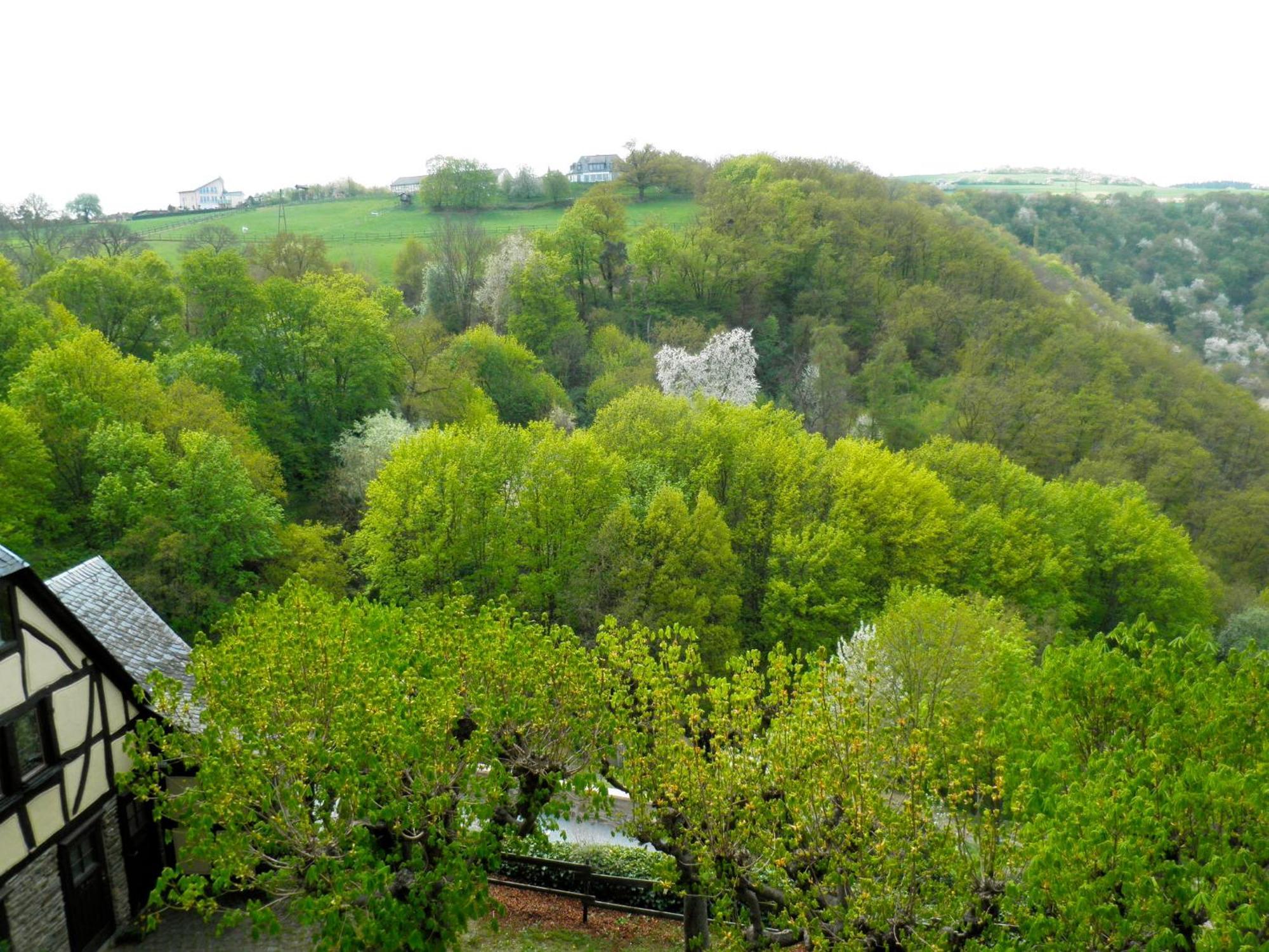 Burghotel Auf Schoenburg Oberwesel Pokoj fotografie